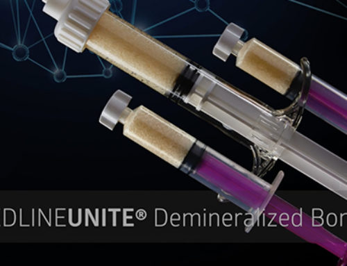 Demineralized Bone Matrix Overview