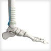 Posterolateral Distal Tibia Plates - Image 2