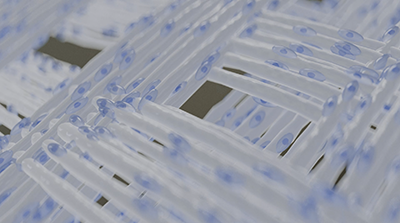 FORCEWEB_thumbnail